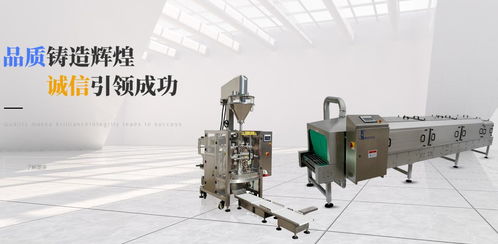 品質(zhì)鑄造輝煌，誠(chéng)信引領(lǐng)成功——達(dá)和榮藝包裝機(jī)械的卓越之路